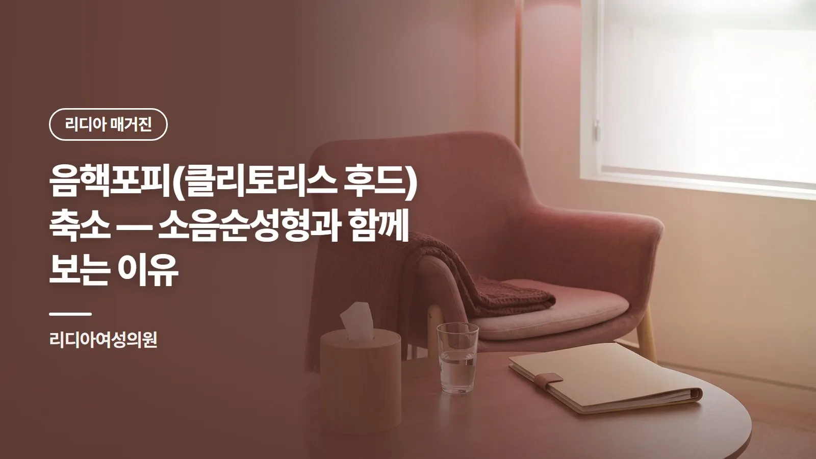 음핵포피(클리토리스 후드) 축소 — 소음순성형과 함께 보는 이유