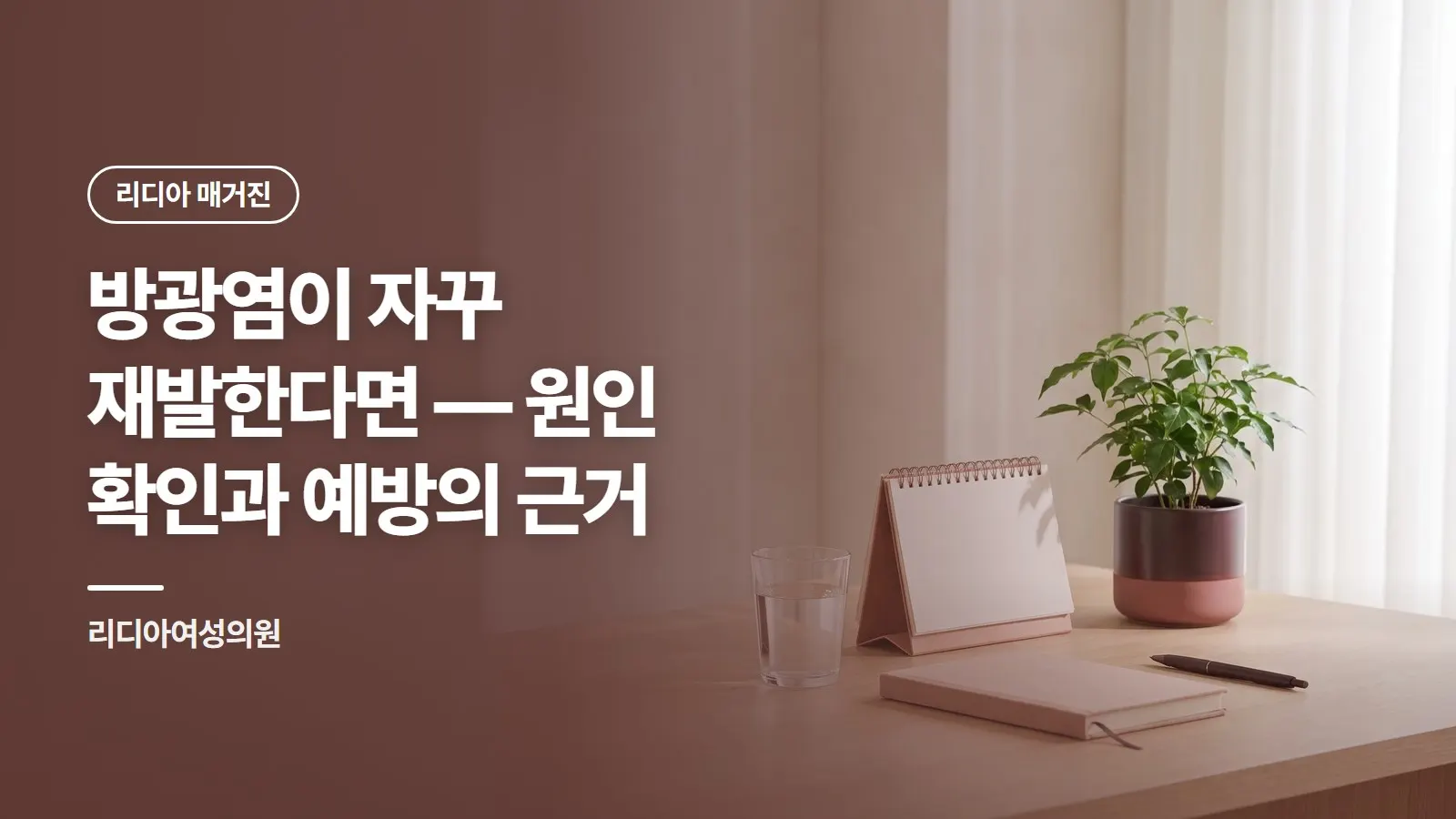 방광염이 자꾸 재발한다면 — 원인 확인과 예방의 근거